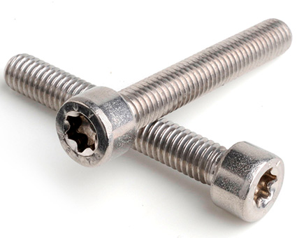 Stainless Steel TX Cap Screws