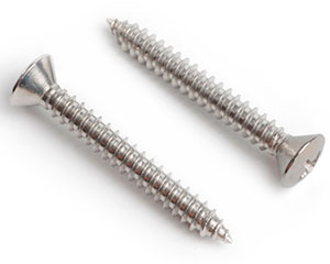 4.8 X 19 PHIL RAISED CSK TAP SCREW DIN 7983C H A2 ST/ST