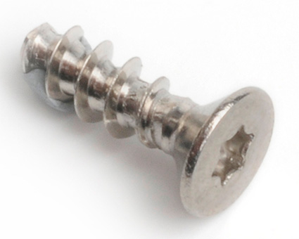 Stainless Steel TX Countersunk Polytech 30
