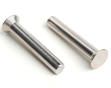 Stainless Steel Countersunk Head Solid Rivets