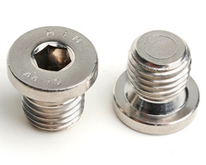 G 2" SOCKET PIPE PLUG WITH COLLAR (BSPP) DIN 908 A2 ST/ST