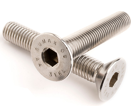 Stainless Steel Socket Countersunk Screws